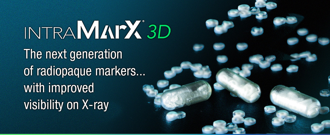 IntraMarx 3D